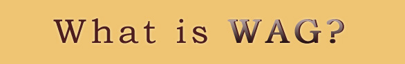 What is WAG?