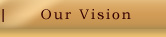 our vision